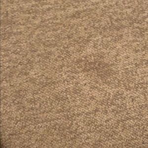 Meet your Posher, Leyla